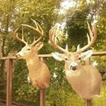 Profile Picture of Grady Jester Burk (@gradyjester) on Instagram