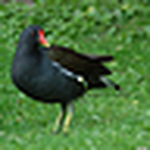 Profile Picture of Kevin Yates (@mr dobbs) on Flickr