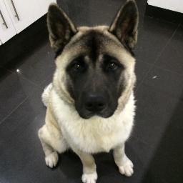 Profile Picture of CARL GORMAN (@clg_67) on Twitter