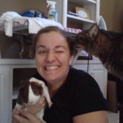 Profile Picture of PdstringerCCNT (@PamelaStringer) on Twitter