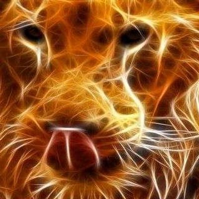 Profile Picture of Curt Hooper (@CHooper_) on Twitter