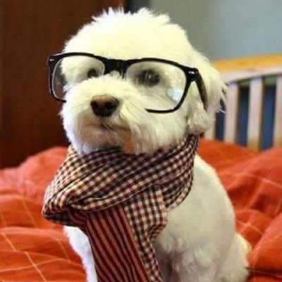 Profile Picture of Kevin Chang (@KevinMChang) on Twitter