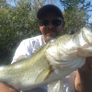 Profile Picture of Kenneth Loveday (@kenneth_loveday) on Instagram