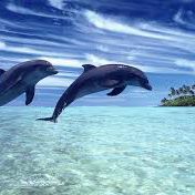 Profile Picture of Katelynn Edens (@katelynn.edens) on Facebook