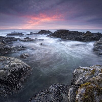 Profile Picture of Pam Scott (@thscar) on Twitter