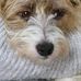 Profile Picture of Rose Richards (@rose.richards.52) on Facebook