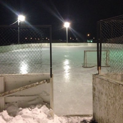 Profile Picture of Regan Redekopp (@ReganRedekopp) on Twitter