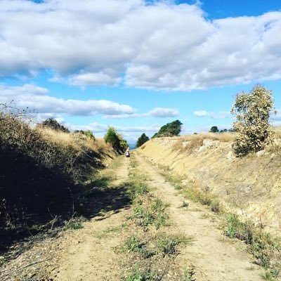 Profile Picture of Ruby Crowe (@RubyCrowe7) on Twitter