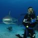 Profile Picture of Paul Burkey (@burkey0306) on Pinterest