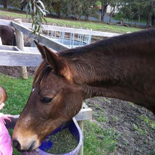 Profile Picture of Sarah Deveny (@sarah.deveny.5) on Facebook