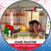 Profile Picture of Nacim Islam (@nacim.islam.5) on Facebook