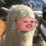 Profile Picture of James Huband (@jamess_.privv__) on Instagram