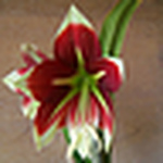 Profile Picture of Joshua Young (@JoshY46016) on Flickr