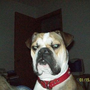Profile Picture of Matthew Clemmons (@bigbuhbuh) on Myspace