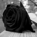 Profile Picture of richard granillo (@granillo.richard) on Instagram