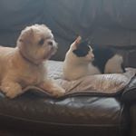 Profile Picture of Catherine Hilton (@catherinehilton2351) on Instagram