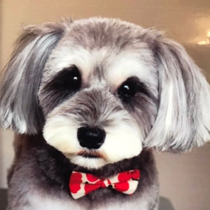 Profile Picture of Robin.Mcfarland (@caspevhyid0) on Tiktok
