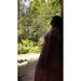 Profile Picture of Dipa Bineshkumar (@dbineshkumar) on Pinterest