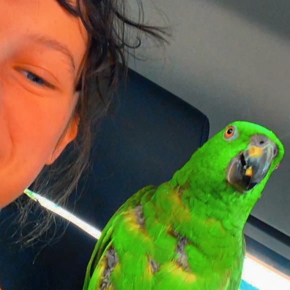 Profile Picture of Jordan Noel (@jordanjanen) on Poshmark