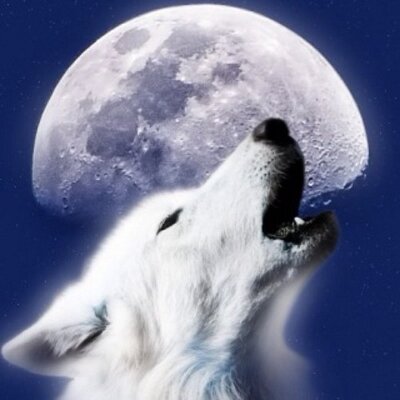 Profile Picture of Ivan Tenorio (@ivantenorio5) on Twitter