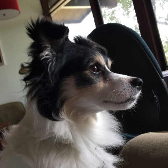 Profile Picture of Beth Sontag (@beths19x) on Poshmark