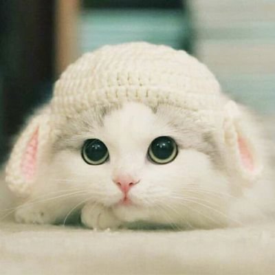 Profile Picture of Heidi Hsu (@HeidiHsu3) on Twitter