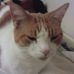 Profile Picture of Ginger Walton (@ginger.walton.50) on Facebook