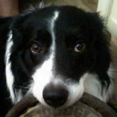 Profile Picture of Craig Luce (@CraigLuce1) on Twitter
