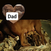 Profile Picture of Slyvester Mull (@mullgamer45) on Youtube