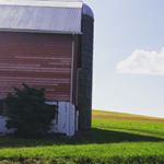 Profile Picture of Gwenyth Jones (@gwenjones65) on Instagram