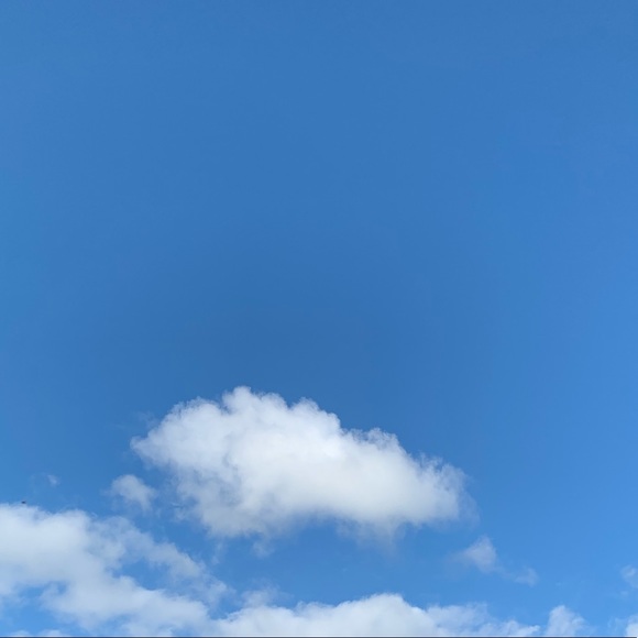 Profile Picture of Rachael Wolfe (@deyaweoye) on Poshmark