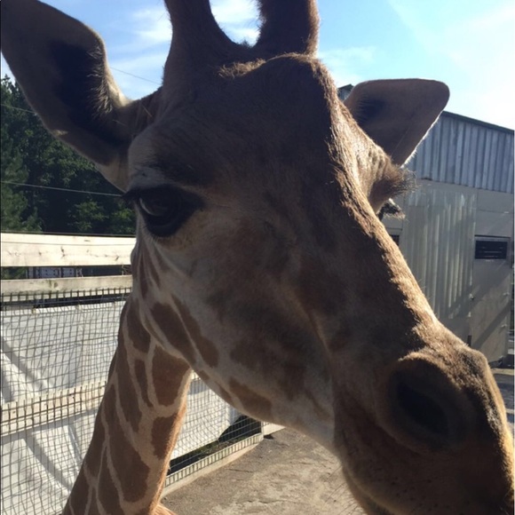 Profile Picture of Sydney Repasky (@sydneyrepasky) on Poshmark