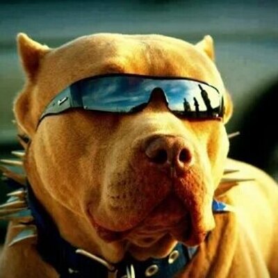 Profile Picture of Alexander Balmaceda (@alexbalmaceda87) on Twitter