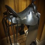 Profile Picture of Gabriella Hirschsprung (@steele_saddles_israel) on Instagram