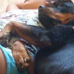 Profile Picture of Chris Kenison (@clkenison) on Instagram