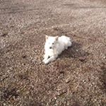 Profile Picture of Crystal Confer (@usmc0301) on Instagram