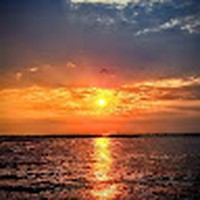 Profile Picture of Allen Wilkins (@allen-wilkins-20) on Quora
