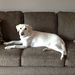 Profile Picture of Sue Rustad (@smrajr4) on Pinterest