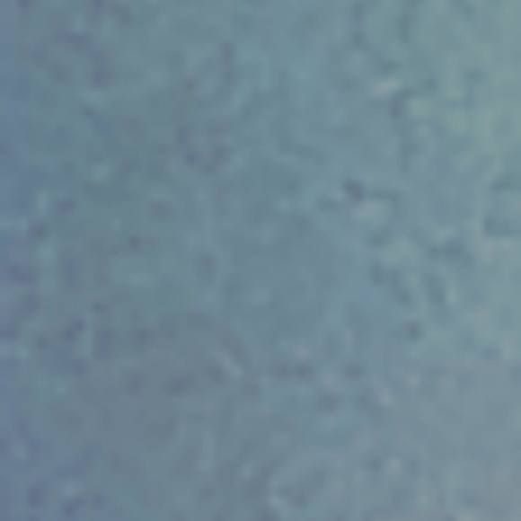 Profile Picture of Dalton Windisch (@cavslover23) on Poshmark