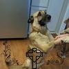Profile Picture of Suzanne Capps240 (@@suzannecapps30) on Tiktok