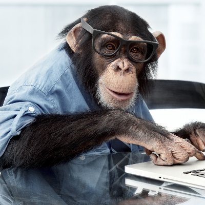 Profile Picture of Mark Wilmoth (@ElasticWebWorks) on Twitter