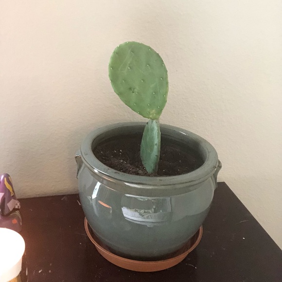 Profile Picture of Sierra Schriefer (@ssssssierra) on Poshmark