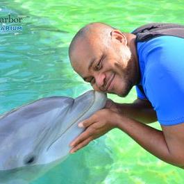 Profile Picture of Honos Martyn (@martyn2305) on Twitter