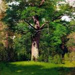 Mark Shamash - Instagram Profile Picture of Mark Shamash (@mark_shamash) on Instagram