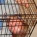 Profile Picture of Randall Graves (@randall.graves.562) on Facebook