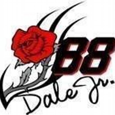 Profile Picture of Tammy C Chaney (@88JR1FAN) on Twitter