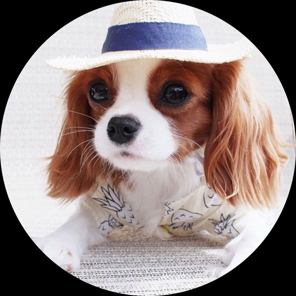 Profile Picture of Robert Jenners (@funbling) on Poshmark