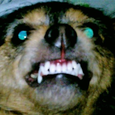 Profile Picture of Scott Robins (@ScottSkinney9) on Twitter