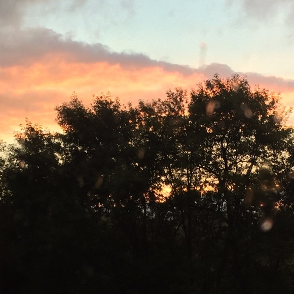 Profile Picture of Teresa Enger (@tme01) on Poshmark