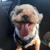 Profile Picture of Chuck schuster (@@chuckschuster) on Tiktok
